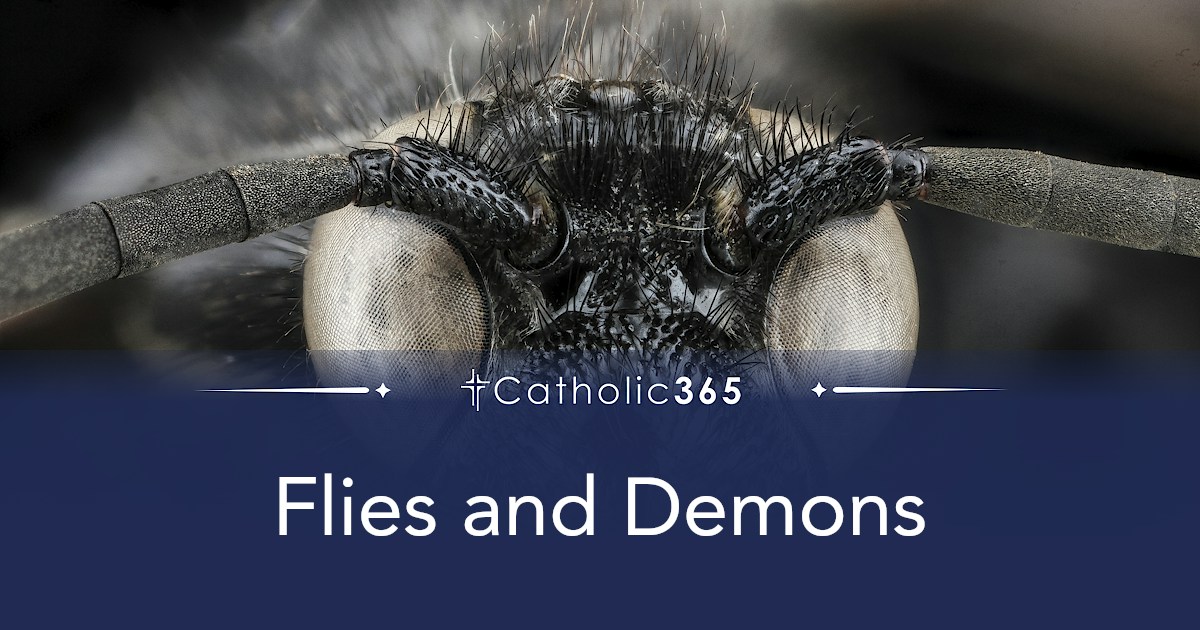 Flies and Demons
