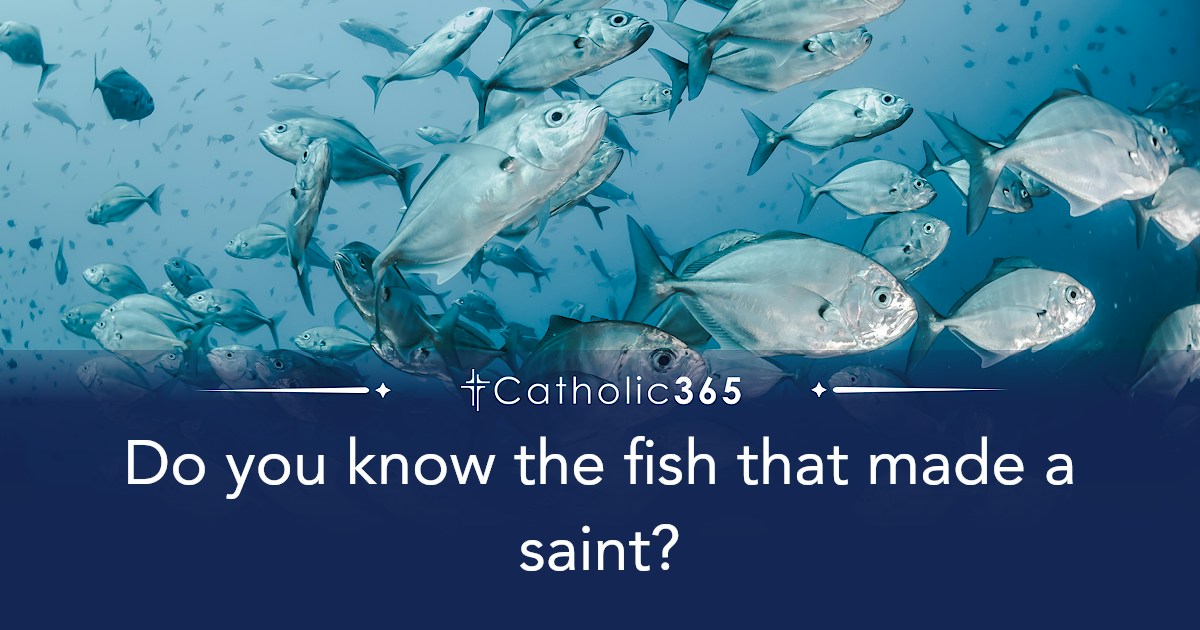 Do you know the fish that made a saint?