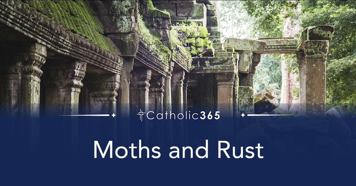 Moths and Rust