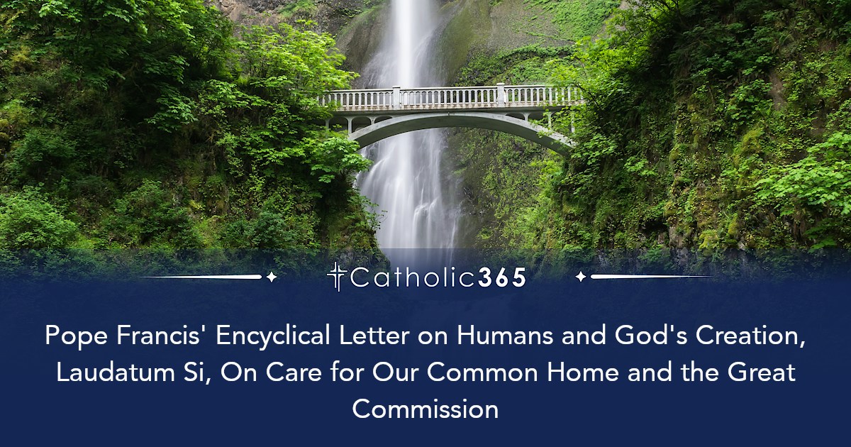 Pope Francis' Encyclical Letter on Humans and God's Creation, Laudatum ...