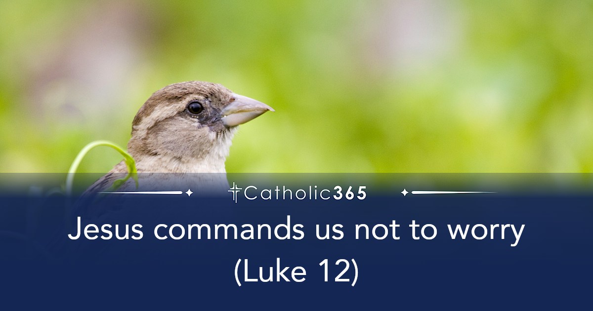 Jesus commands us not to worry (Luke 12)