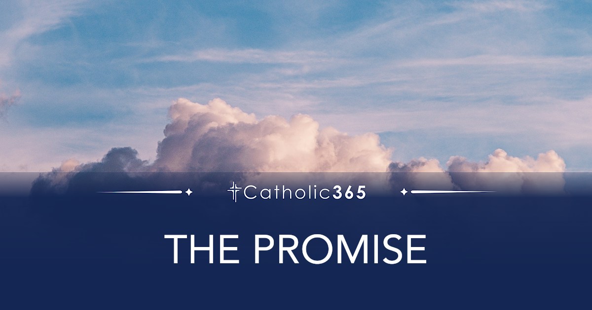 THE PROMISE