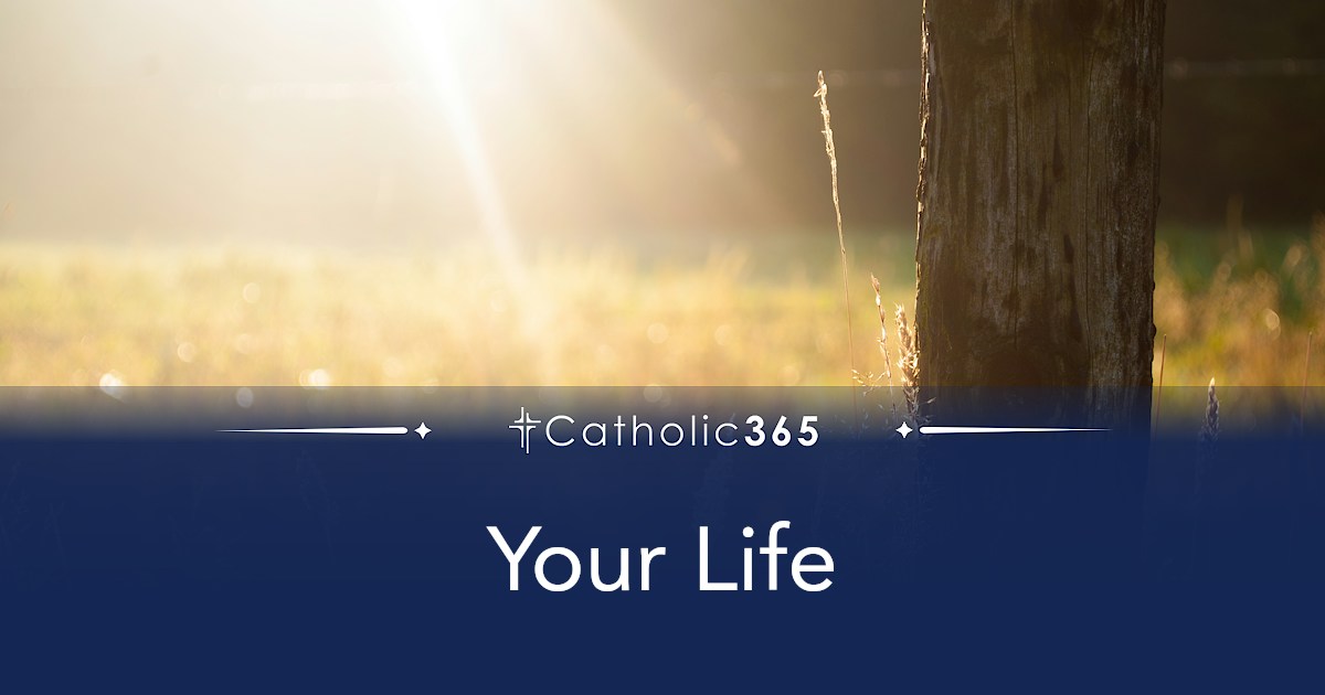 Your Life