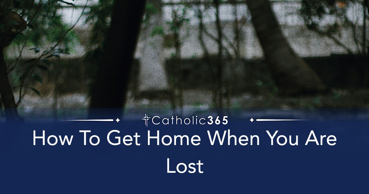 How To Get Home When You Are Lost