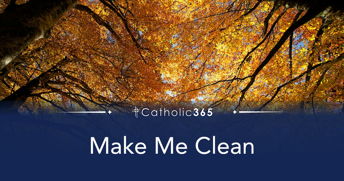 Make Me Clean