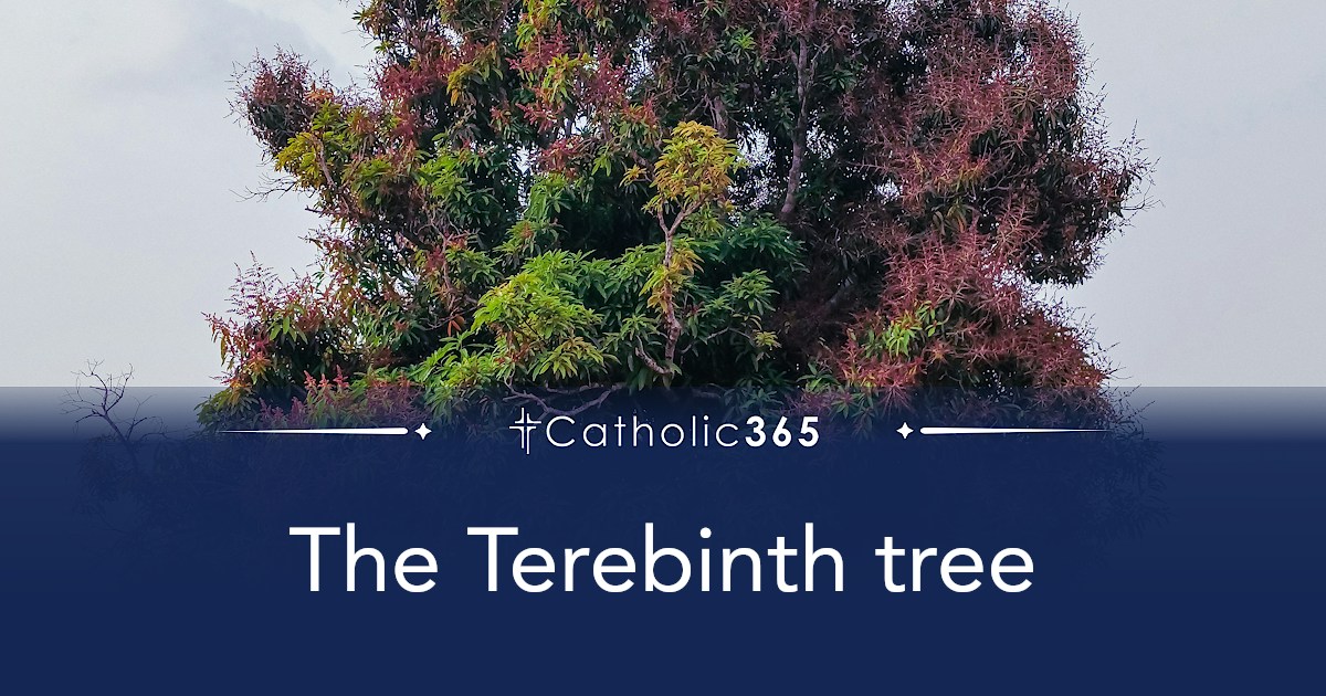 The Terebinth tree