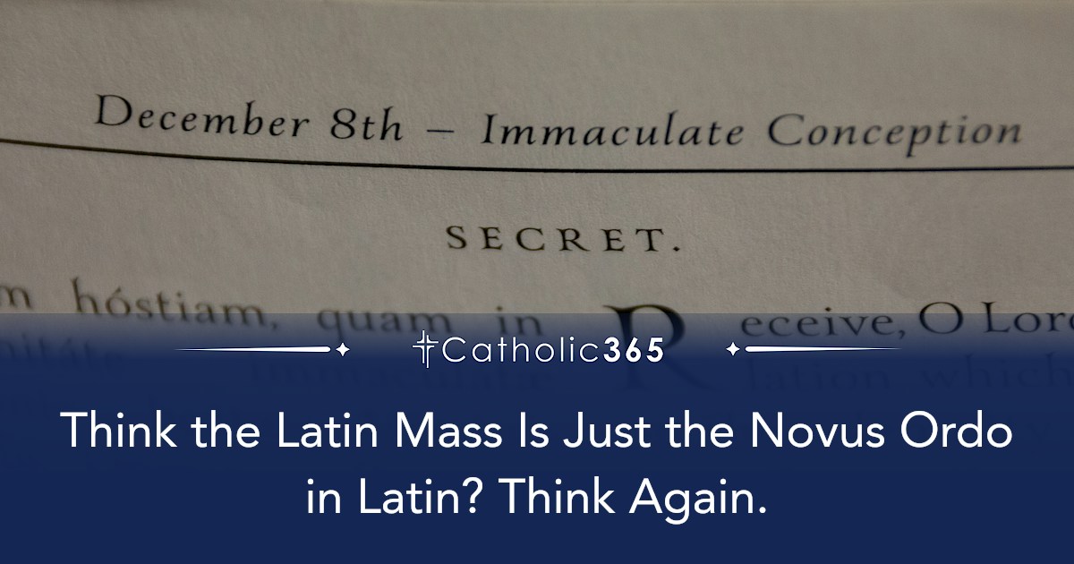 Think the Latin Mass Is Just the Novus Ordo in Latin? Think Again.