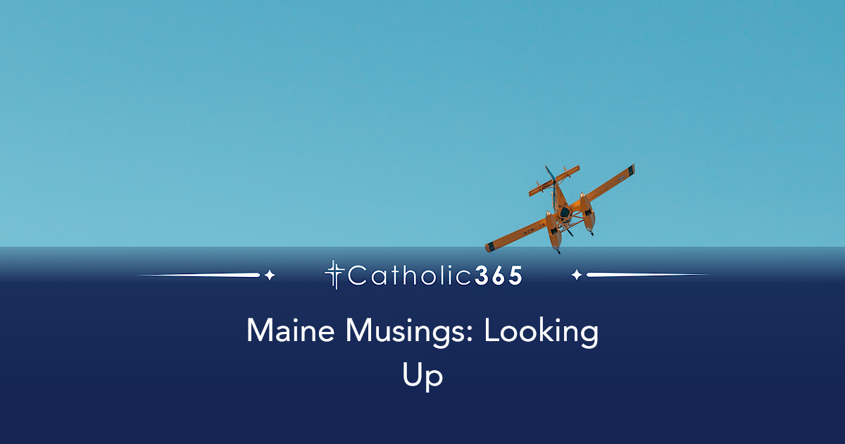Maine Musings: Looking Up