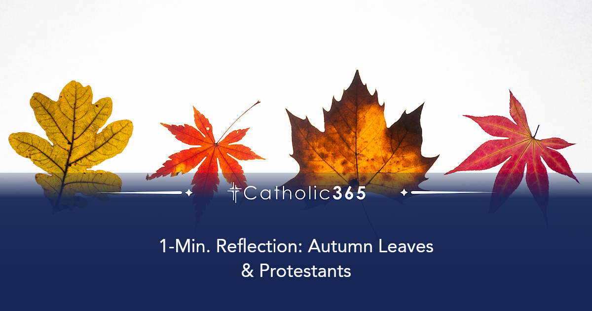 1-Min. Reflection: Autumn Leaves & Protestants
