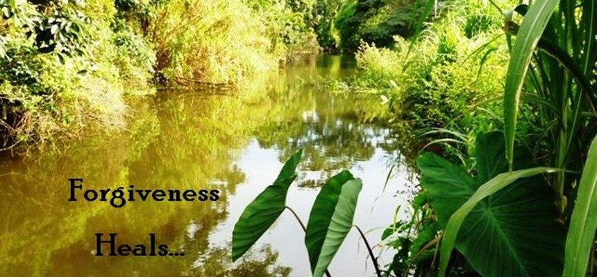 The Dynamics of Forgiveness