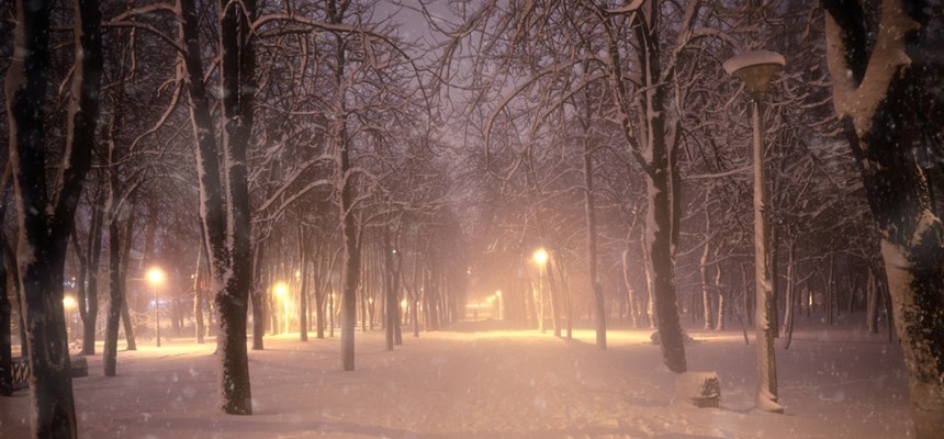 Snow-Filled Nights and Christmas Stars: Poems for the Season