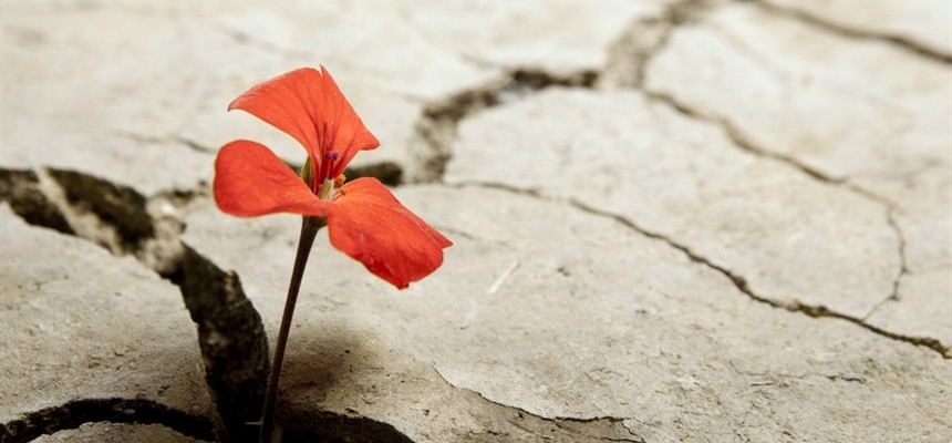 Signs of Life in the Midst of Death