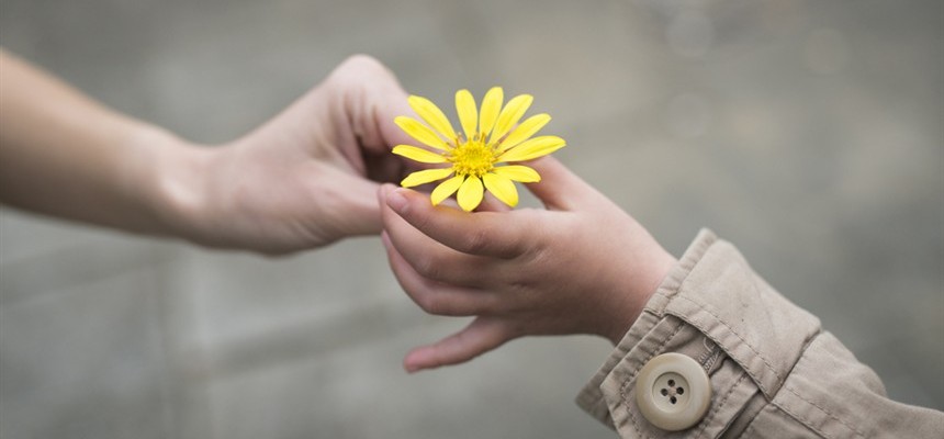 The Life Changing Gift of Looking For Kindness