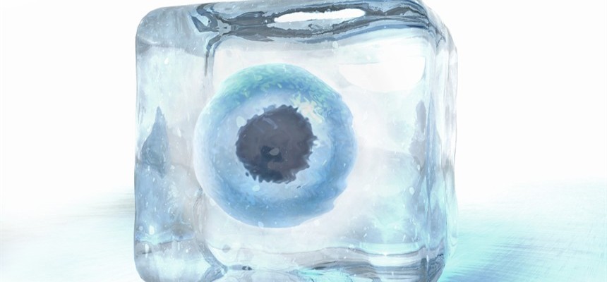 Invitro Fertilization - A Frozen Prison Sentence