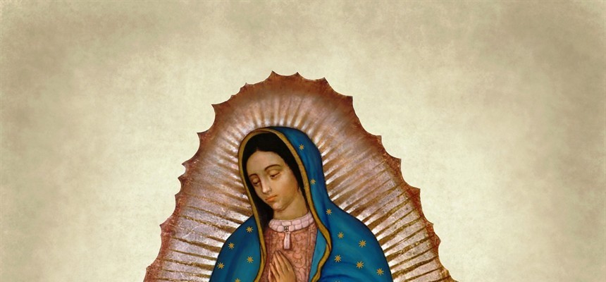 Where to find Our Lady of Guadalupe in the Bible