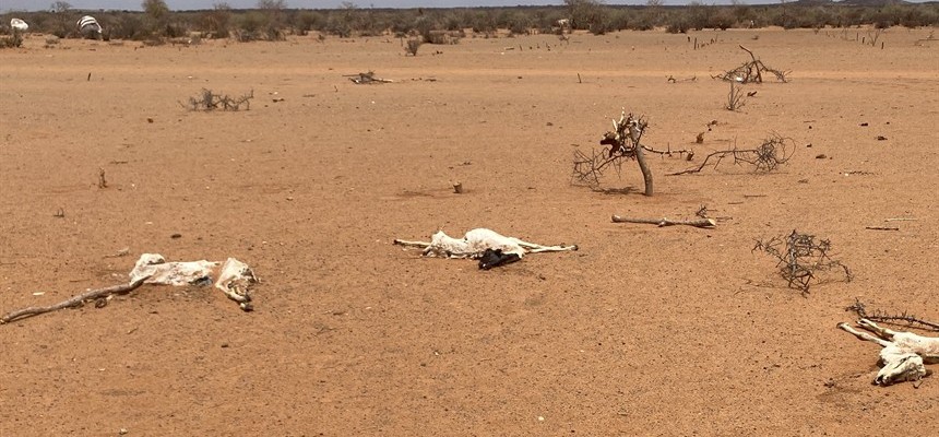 East Africa drought is 'dire,' say officials, warning of possible famine