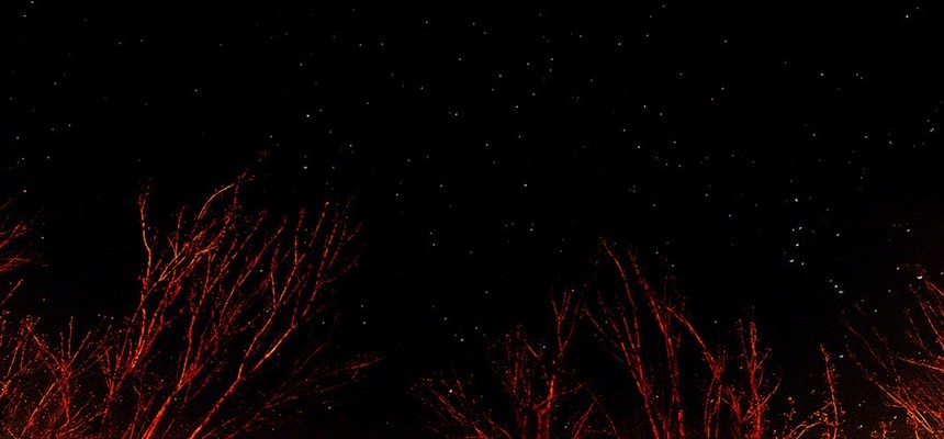 It's Always NIght