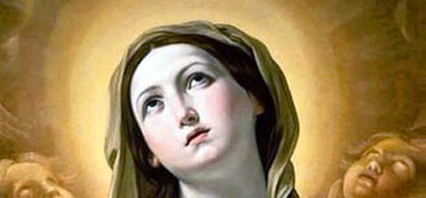 The Assumption of Mary, the Assumption of the Two Witnesses: A Prayer for the Triumph of the Immaculate Heart