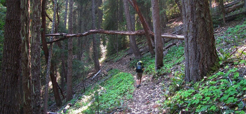 Moral Relativism and "Wild: From Lost to Found on the Pacific Crest Trail" by Cheryl Strayed