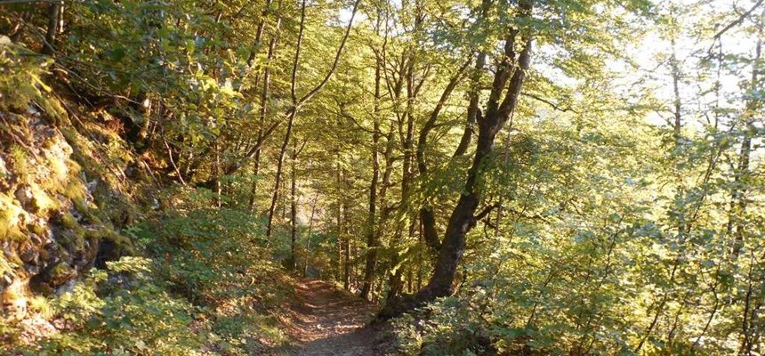 From walking and laughing to a better approach to life and suffering