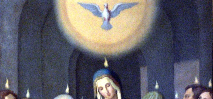 The Dove with the Olive Branch and the Peace that Our Lady will Bring
