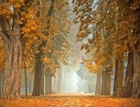Discerning God's Will