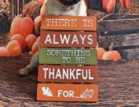 VIRUS TIME IT IS TIME TO BE THANKFUL