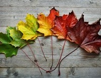 Shifting Our Thinking Through Life's Changes