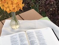 I Stole My Husband's Bible