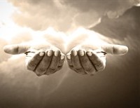 The Little Lamb's Prayer: Ten Years Later