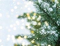 Oh, Christmas Tree!: The Christmas Tree as a Sign of Life in Christ