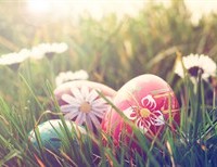 The Forgotten Easter Egg