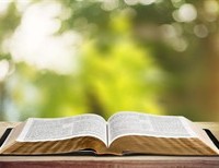 What? You Think Catholics Don't Read the Bible?