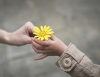 The Life Changing Gift of Looking For Kindness