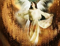 She's No Angel