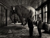 "Same-sex marriage": elephants in the men's room