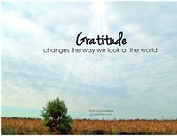Gratitude Attitude