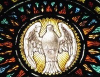 The Evangelization Imperative