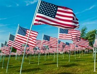 The Freedom Papers - an Introduction