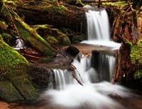 A Place Of Springs