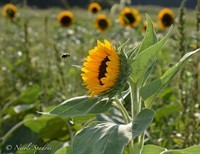 The Spirituality of Imperfection