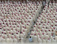 Pope Francis and the Bishops: Navigating Stormy Waters ...