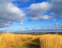 Paths