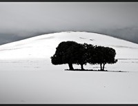 Breath