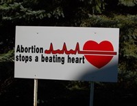Abortion: In the Bible or Not?