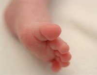 A Pilgrimage for Life
