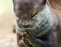 Blue Economy in Lent (Part 1)