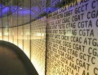 Divine Language of Life Within Us (The Origin of DNA)