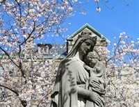 A Faith Rooted in Love