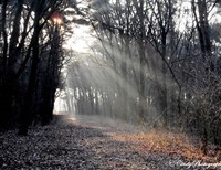 Finding the real Soul of the Apostolate